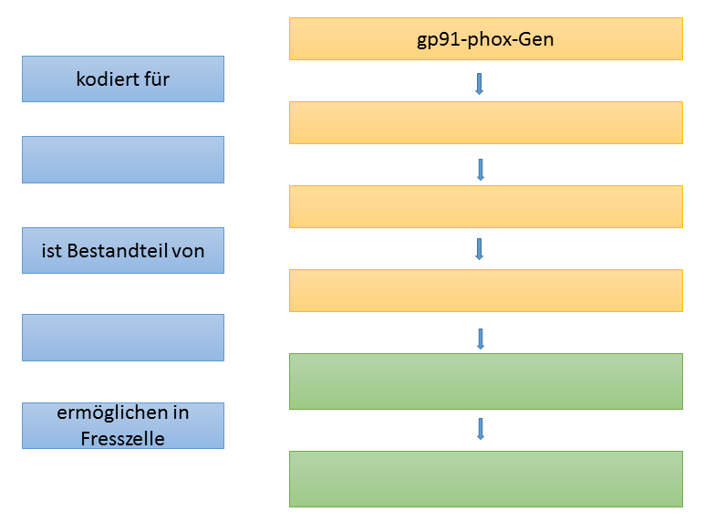 Vorschlag für die Gestaltung eines Pfeildiagramms: